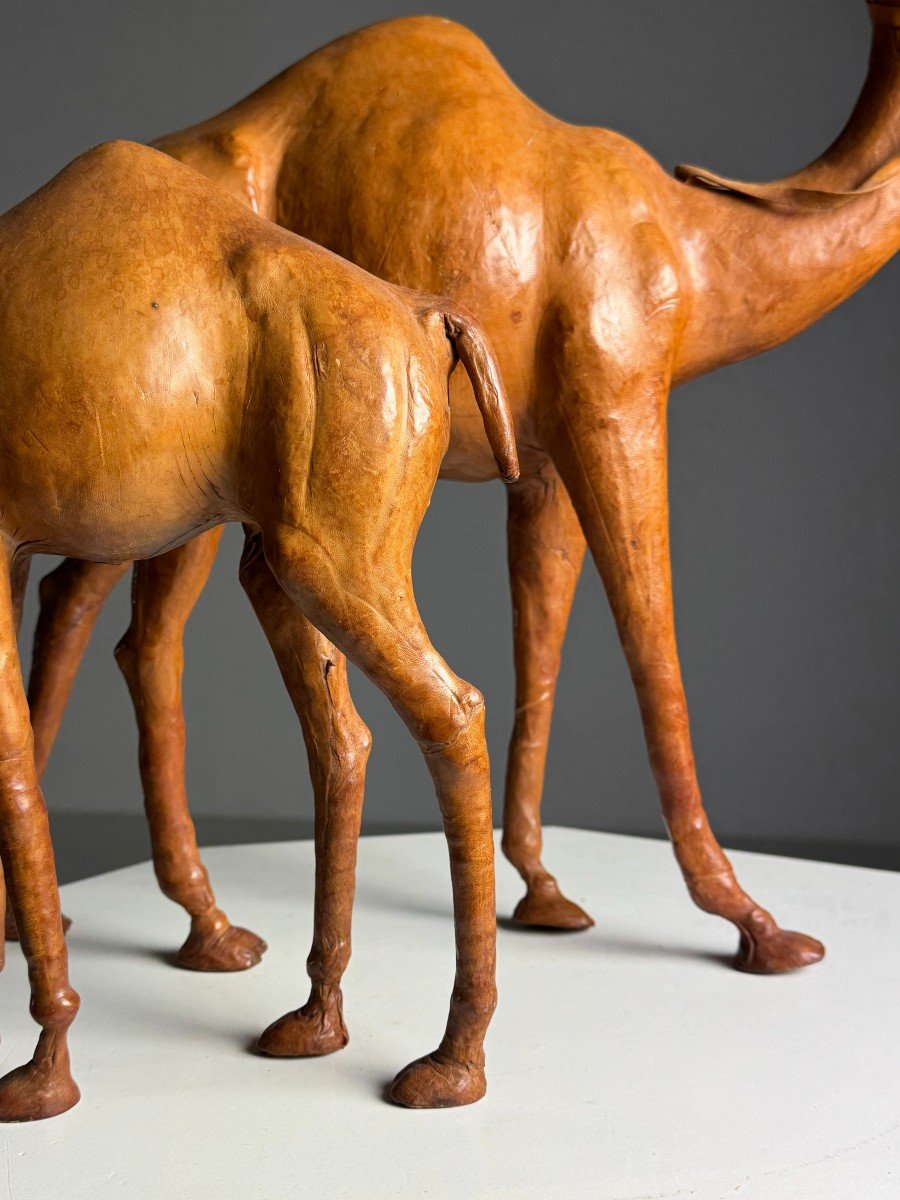 Set Of 2 English Dromedaries In Leather-photo-3