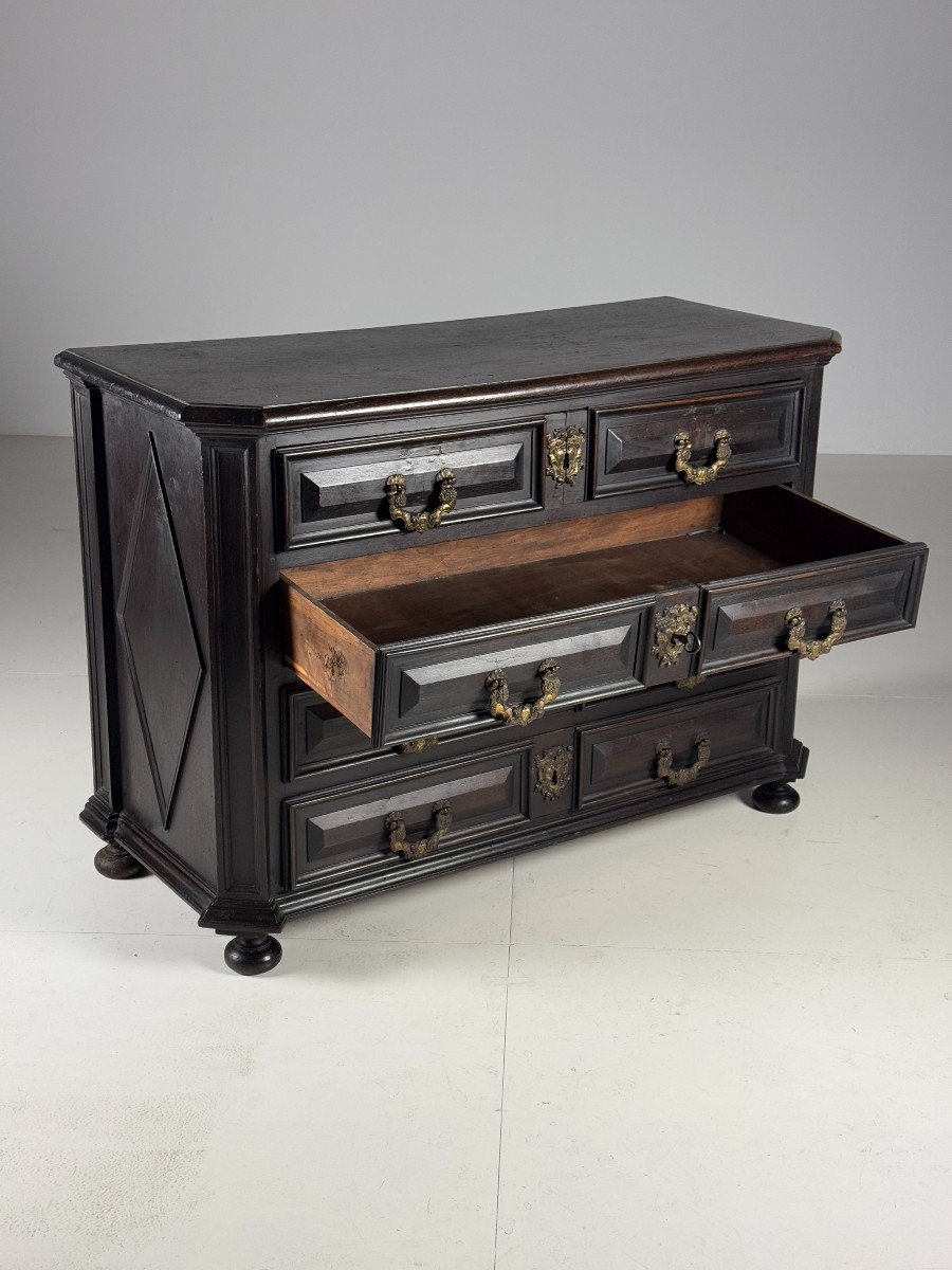 18th Century Italian Chest Of Drawers In Dark Walnut-photo-6