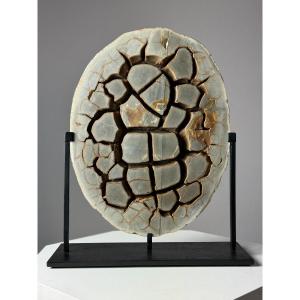 Septarian Nodule