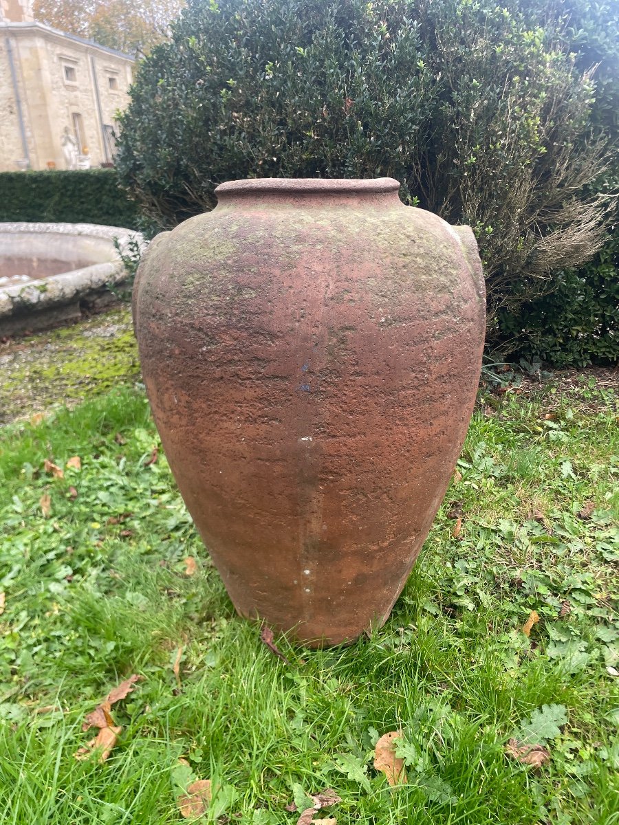 Olive Oil Jar From Impruneta Florence