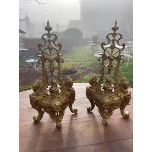 19th Century Bronze Andirons 