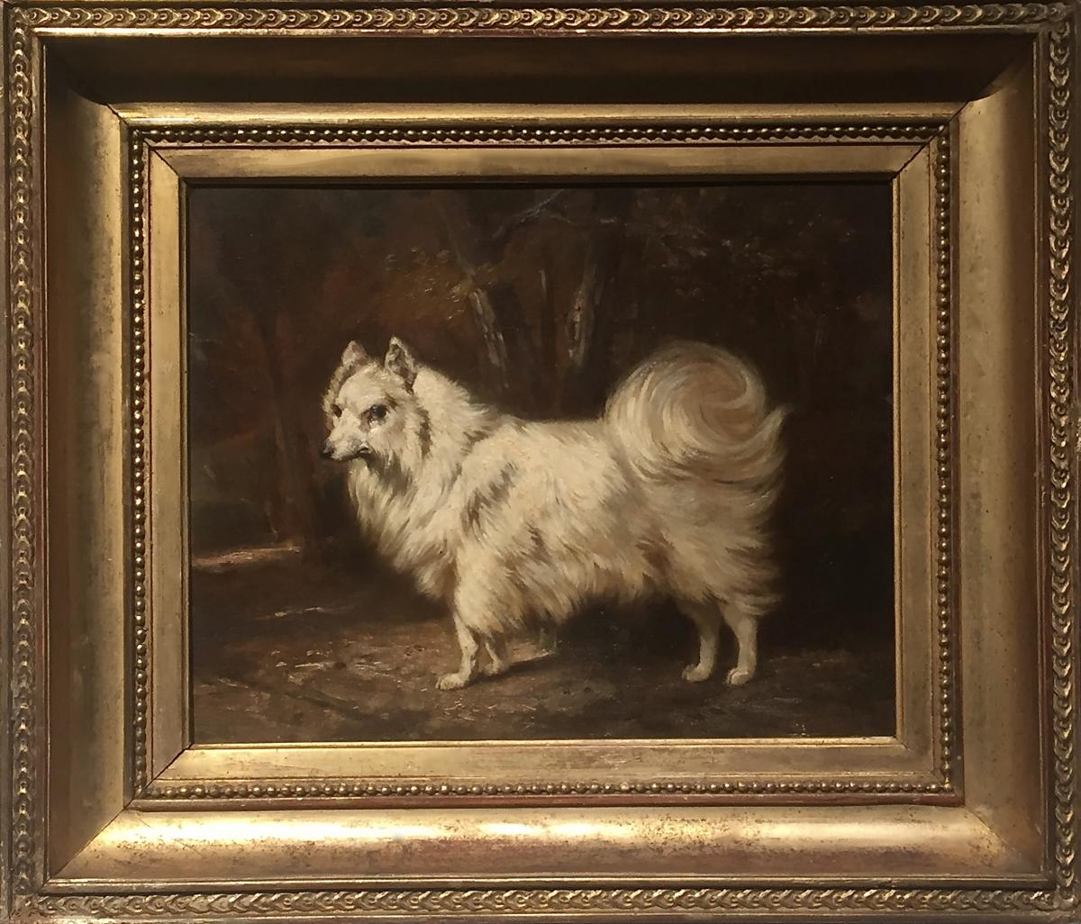 Spitz Wolf German Xix Unsigned Painting Of Other Style