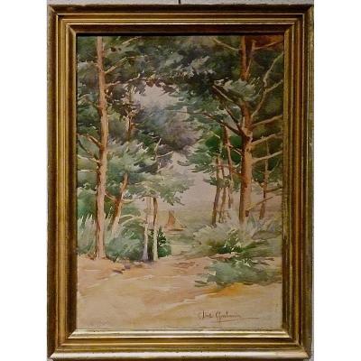 Pine Forest At The Edge Of The Coastline By Claudia Bret-chabonnier (1863-