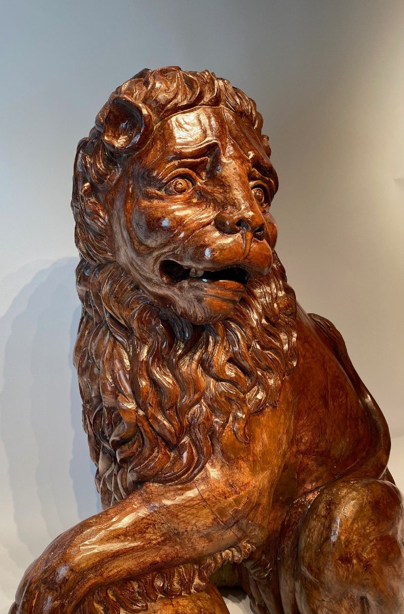 A Magnificent Medici Lion Carved In Linden Wood, Life Size-photo-2