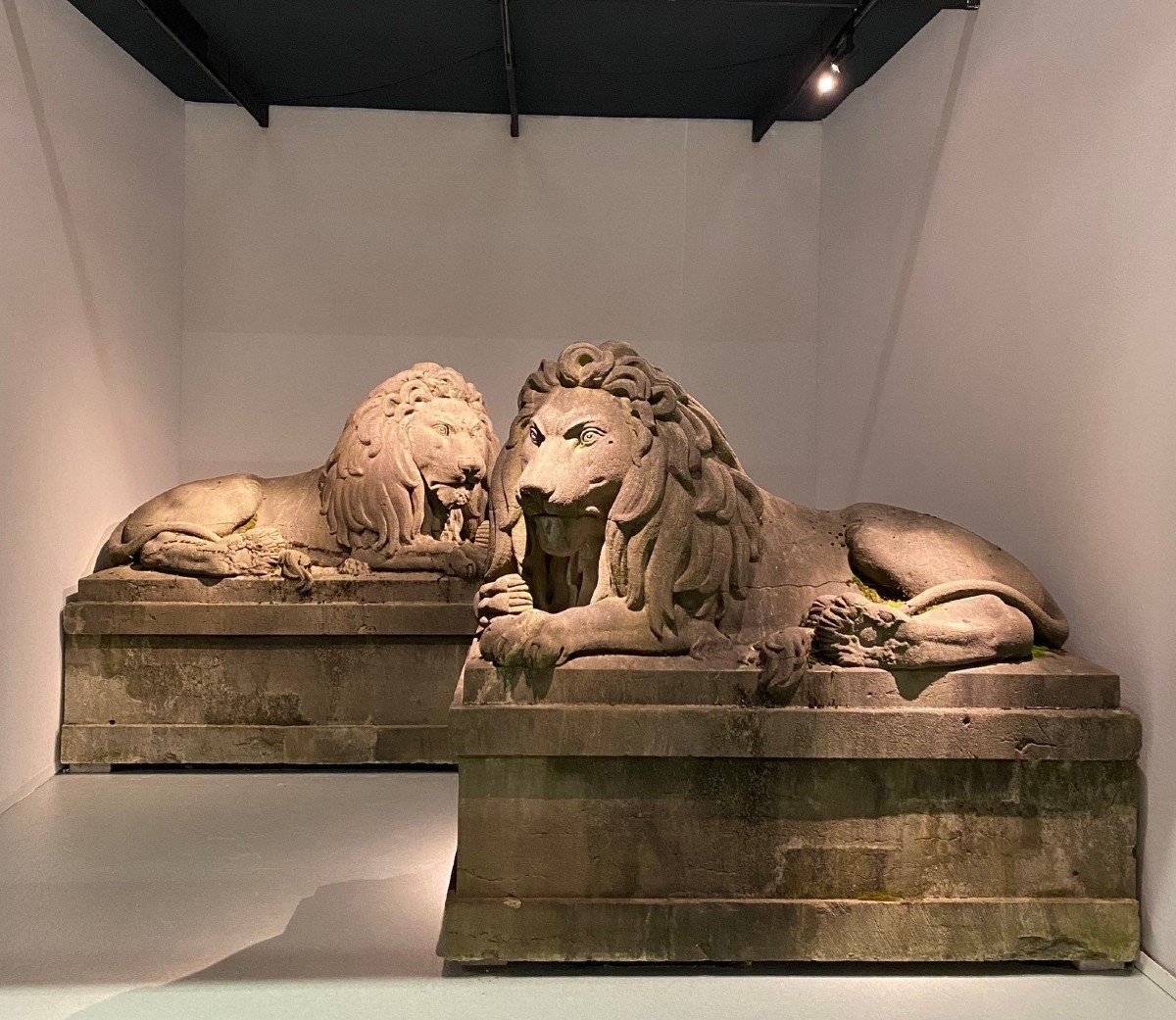  Pair Of 19th Century Monumental Bluestone Lions. Belgium Around 1840. -photo-2