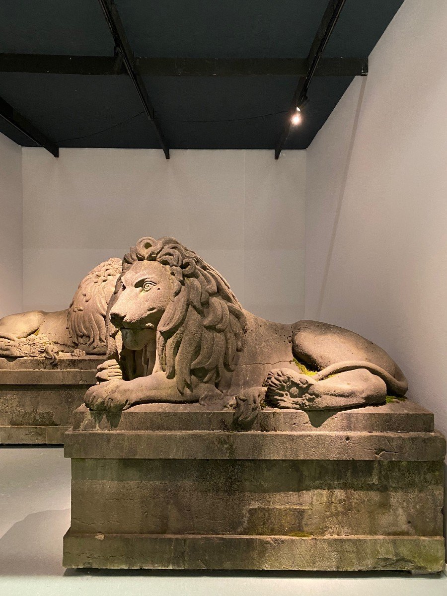 Paire Exceptionnelle De Lions Monumentaux Du 19ème Siècle (pierre Bleue), Belgique Vers 1840. -photo-4