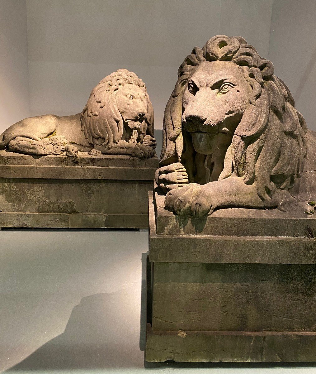 Paire Exceptionnelle De Lions Monumentaux Du 19ème Siècle (pierre Bleue), Belgique Vers 1840. -photo-2