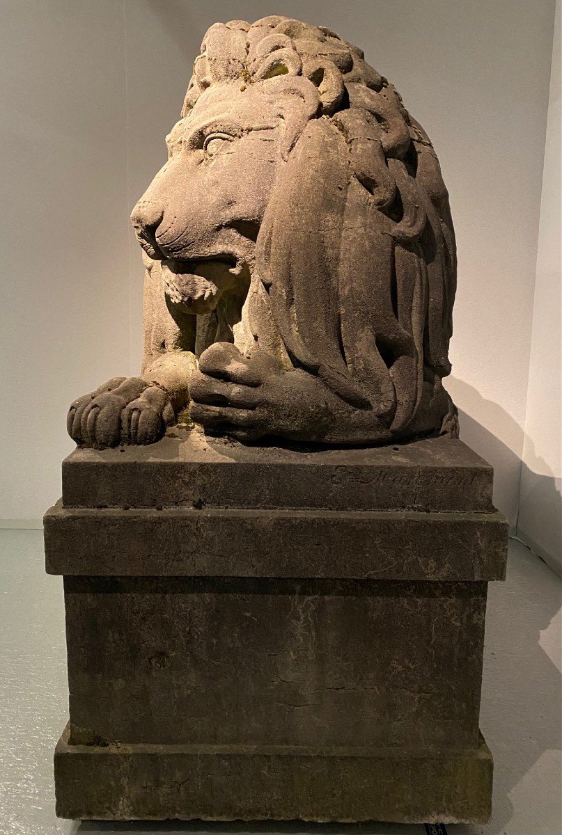 Paire Exceptionnelle De Lions Monumentaux Du 19ème Siècle (pierre Bleue), Belgique Vers 1840. -photo-3