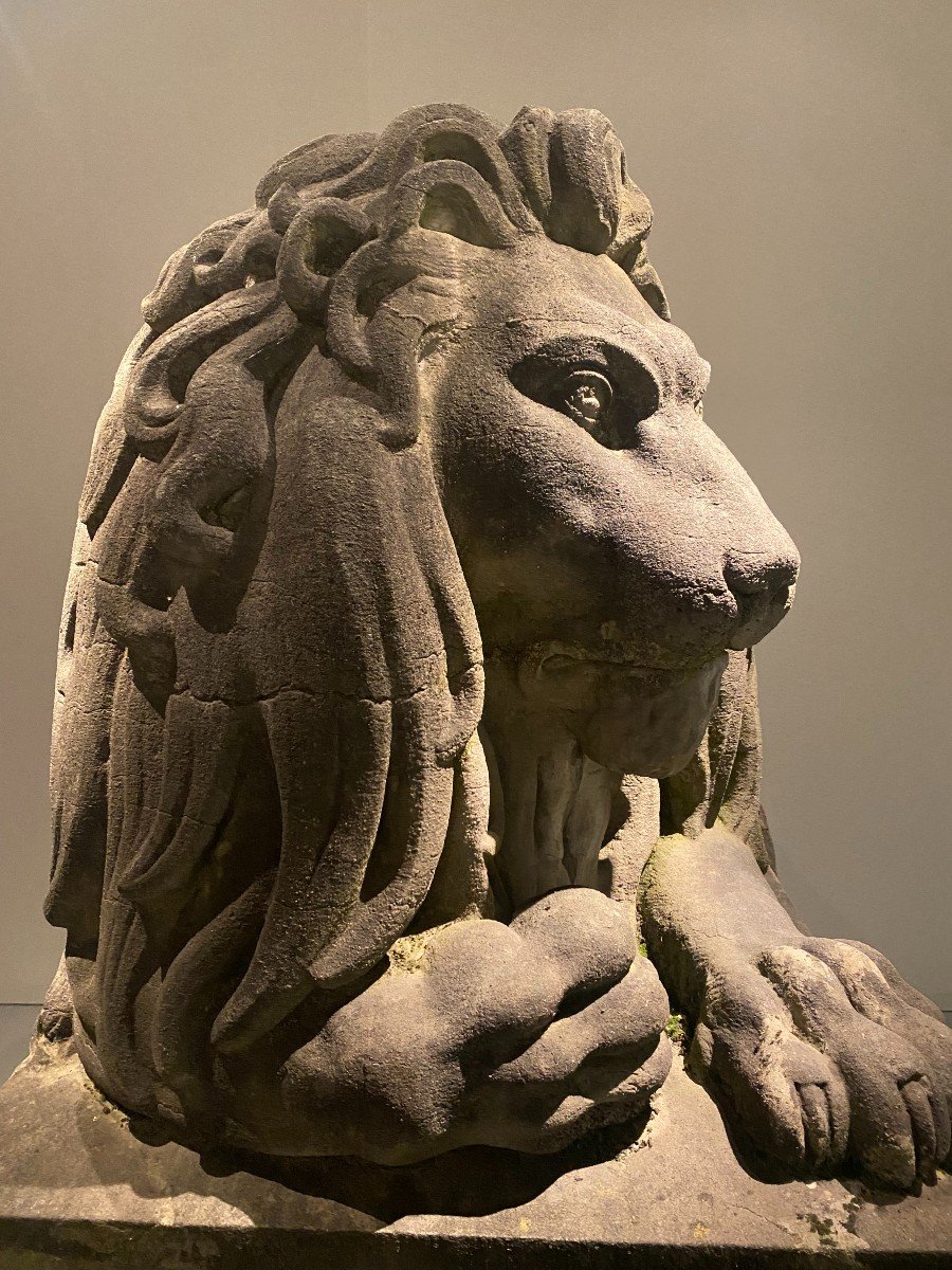  Pair Of 19th Century Monumental Bluestone Lions. Belgium Around 1840. -photo-7