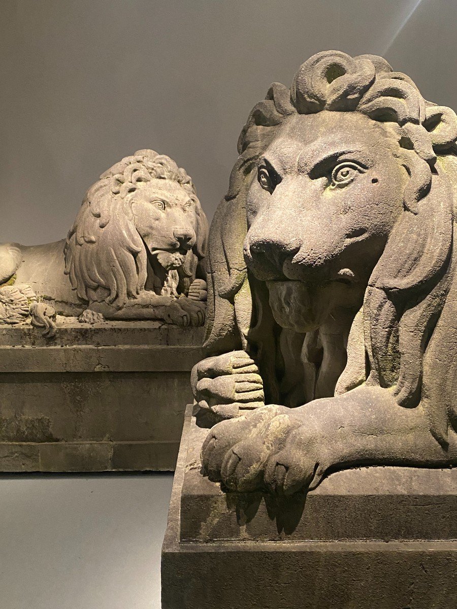 Paire Exceptionnelle De Lions Monumentaux Du 19ème Siècle (pierre Bleue), Belgique Vers 1840. -photo-8