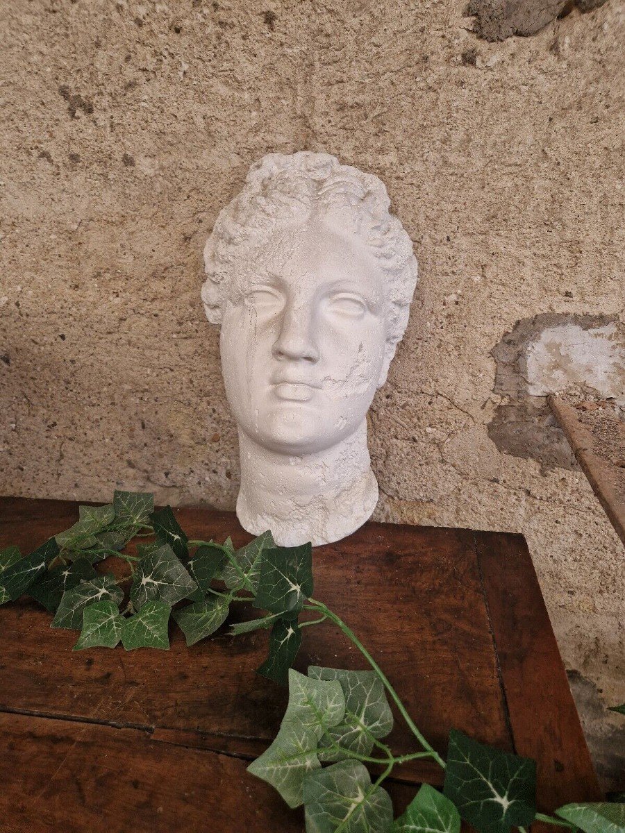 Antique Venus Wall Bust Plaster Plaque Large Head Life Size Art Sculpture-photo-4