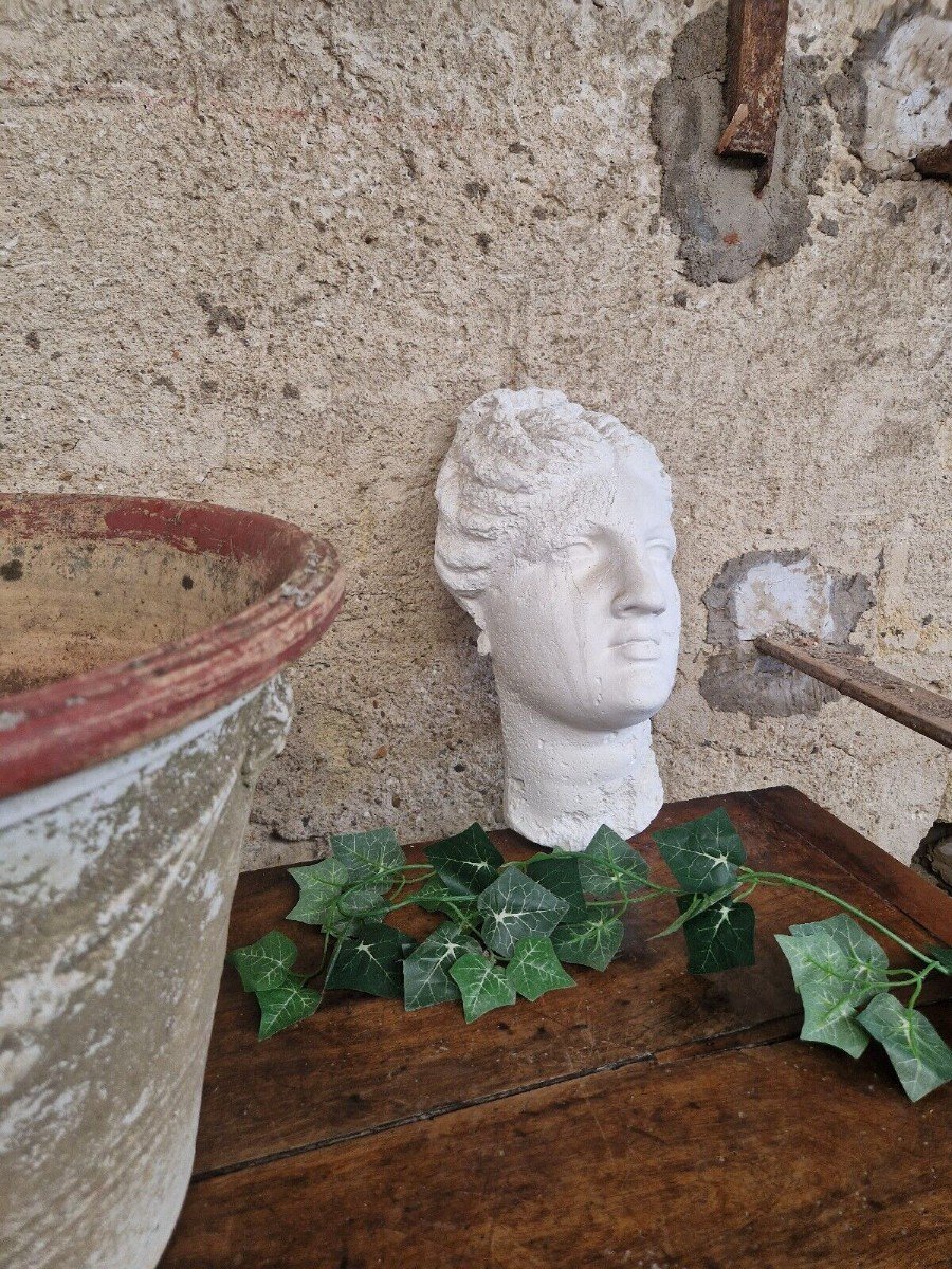 Antique Venus Wall Bust Plaster Plaque Large Head Life Size Art Sculpture-photo-2