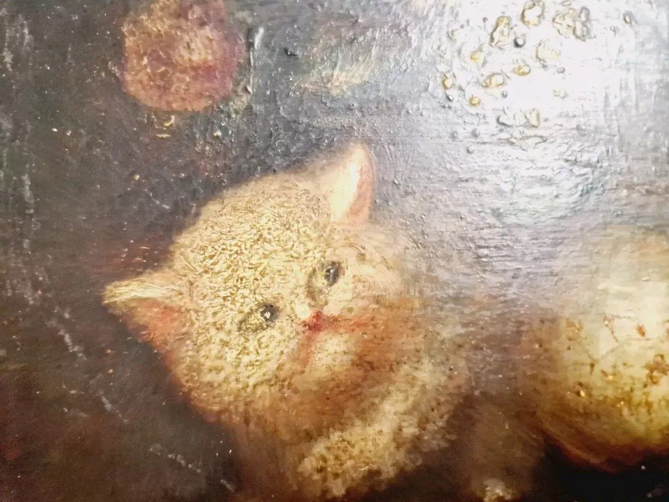 Peinture à l'Huile Chatons XIXe Siècle Signée Costa-photo-1