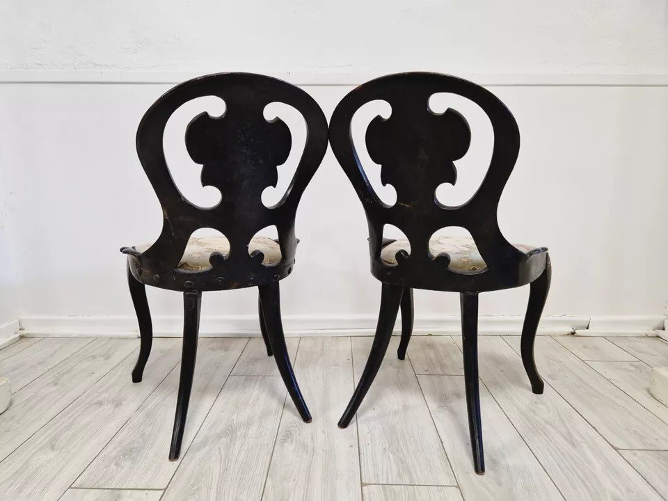 Pair Of Antique Napoleon Chairs-photo-2