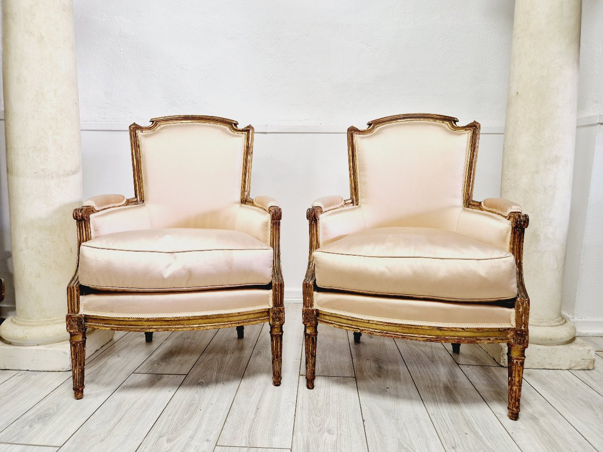 Pair Of Antique Louis XVI Bergère Armchairs-photo-7