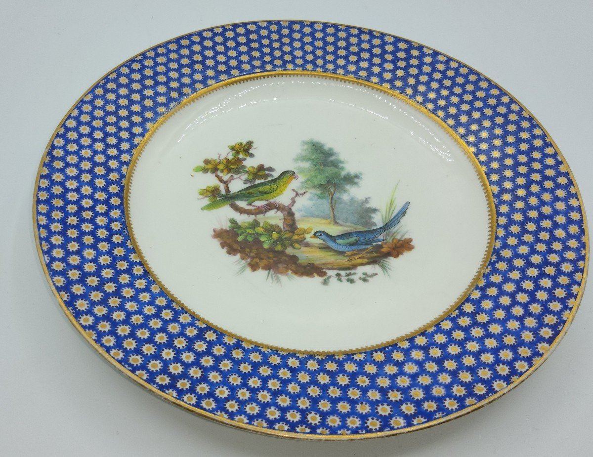 Vincennes Sevres Porcelain Plate Partridge Eye Pattern Painted With Exotic Birds-photo-4