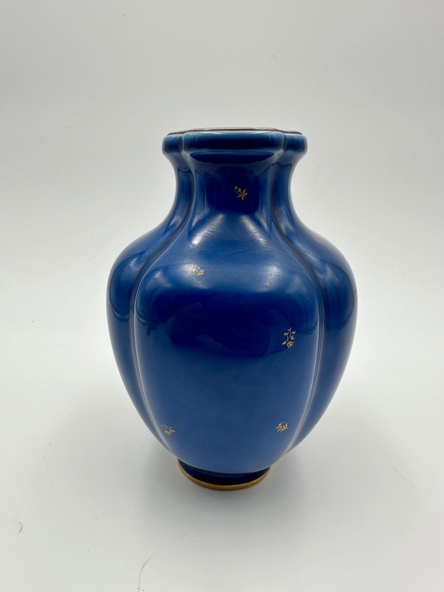 Sevres Porcelain Vase In Lapis Lazuli,perfect-photo-2