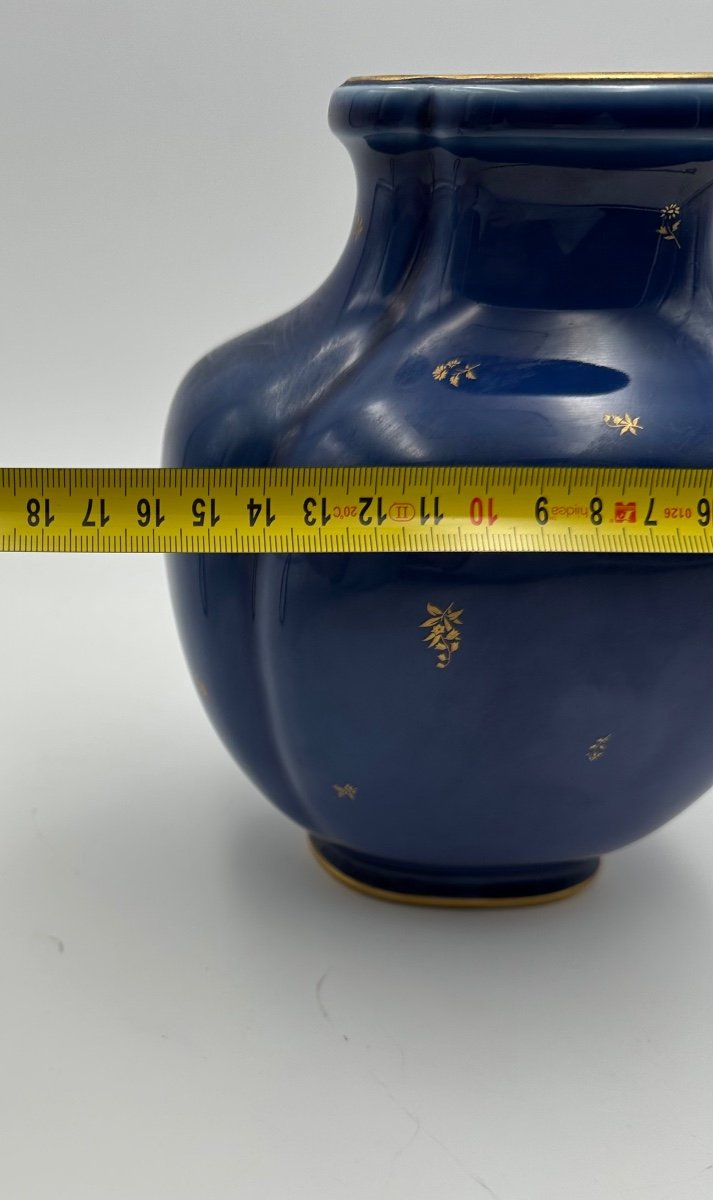 Sevres Porcelain Vase In Lapis Lazuli,perfect-photo-4