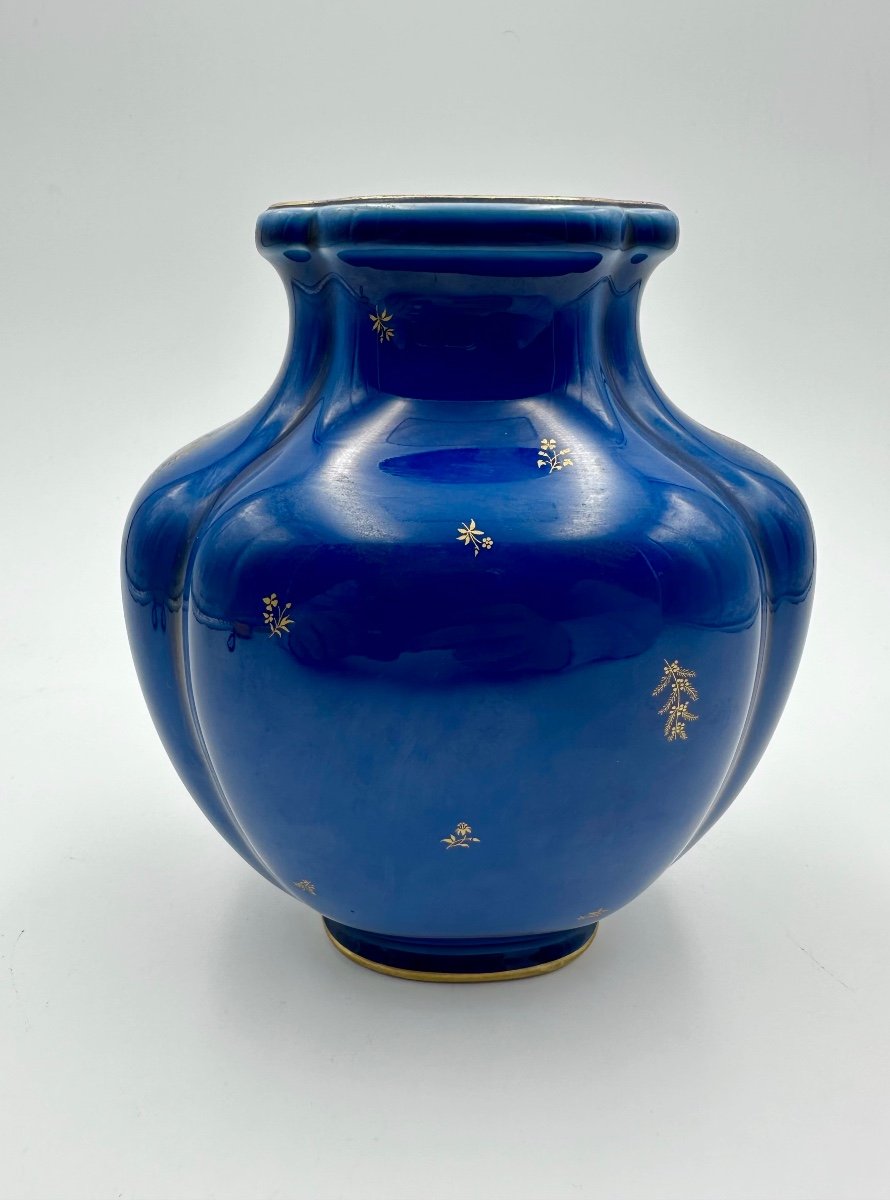 Sevres Porcelain Vase In Lapis Lazuli,perfect