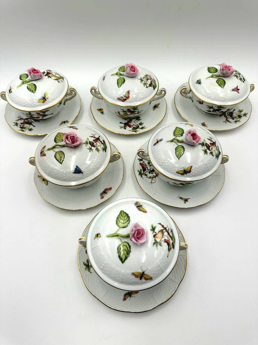 Herend Rotchild Set Of 6 Equalled With Plates And Covers-photo-7