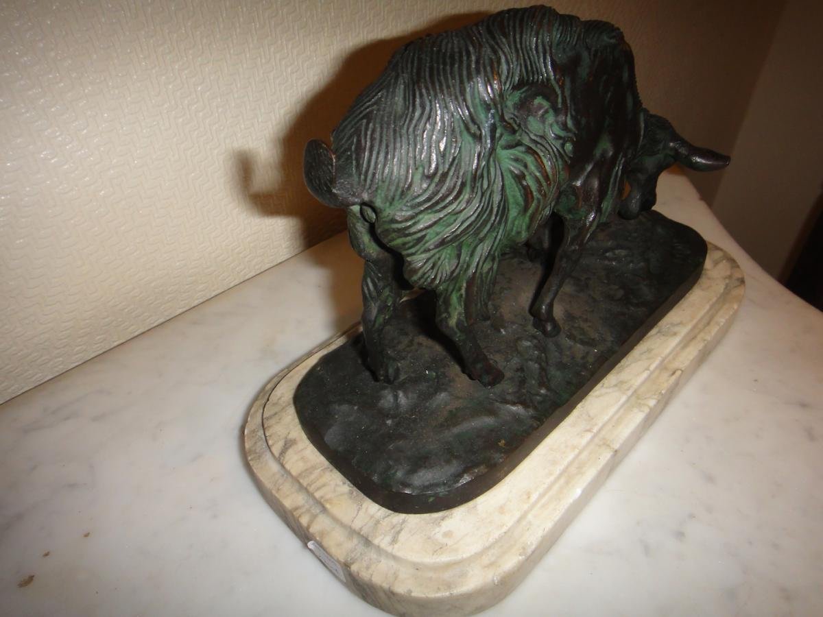 Bronze Animalier-photo-2