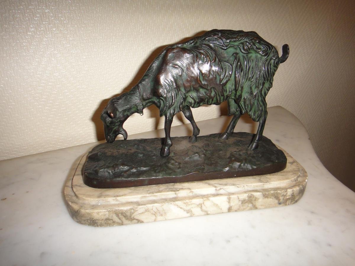 Bronze Animalier-photo-3