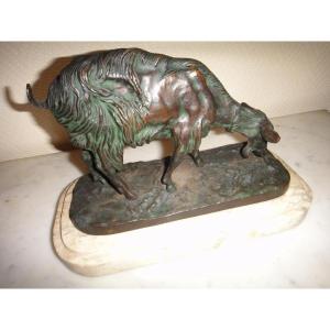 Animal Bronze