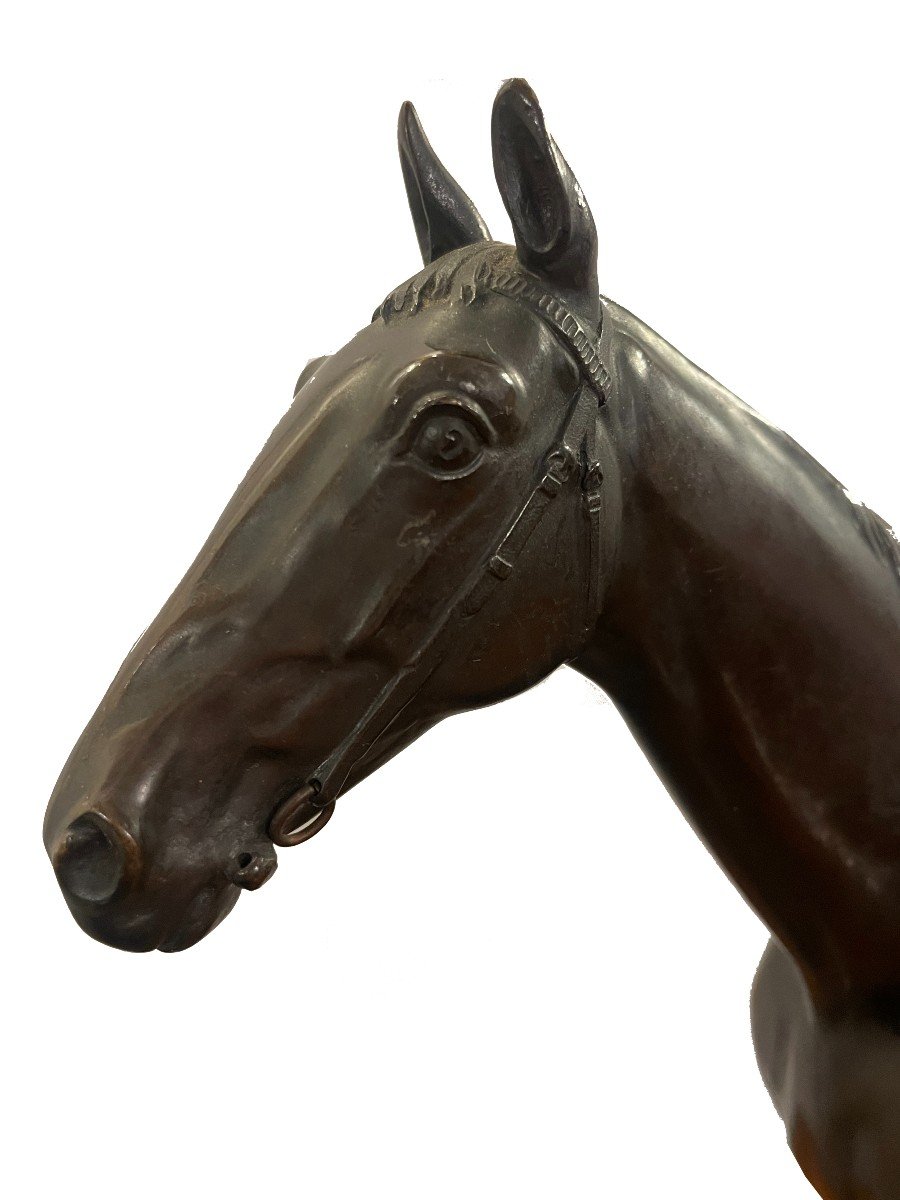 Bronze Of A Horse Art Deco German Around 1910.-photo-4