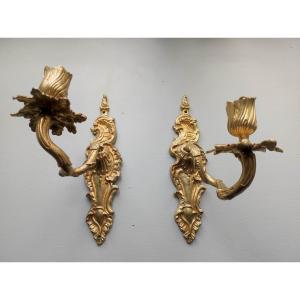 Pair Of Regency Period Sconces With One Light