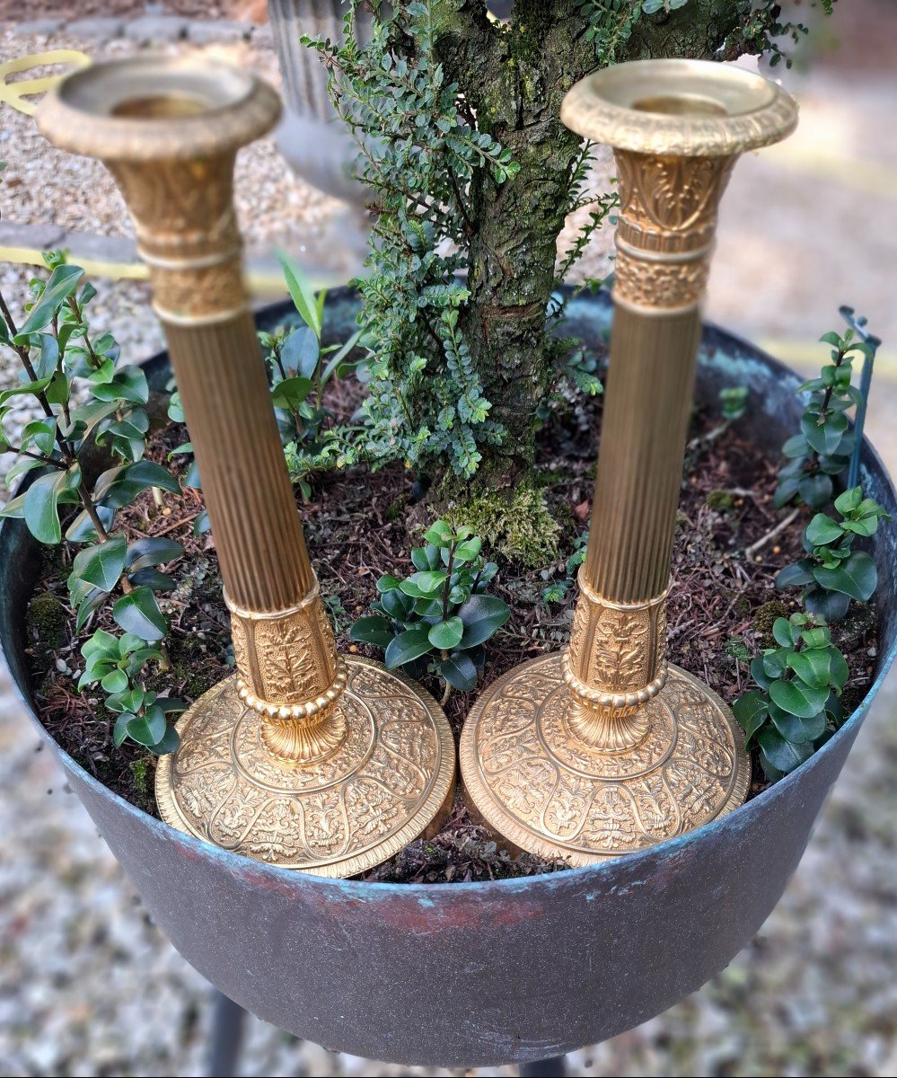 Pair Of Gilt Bronze Candelabra