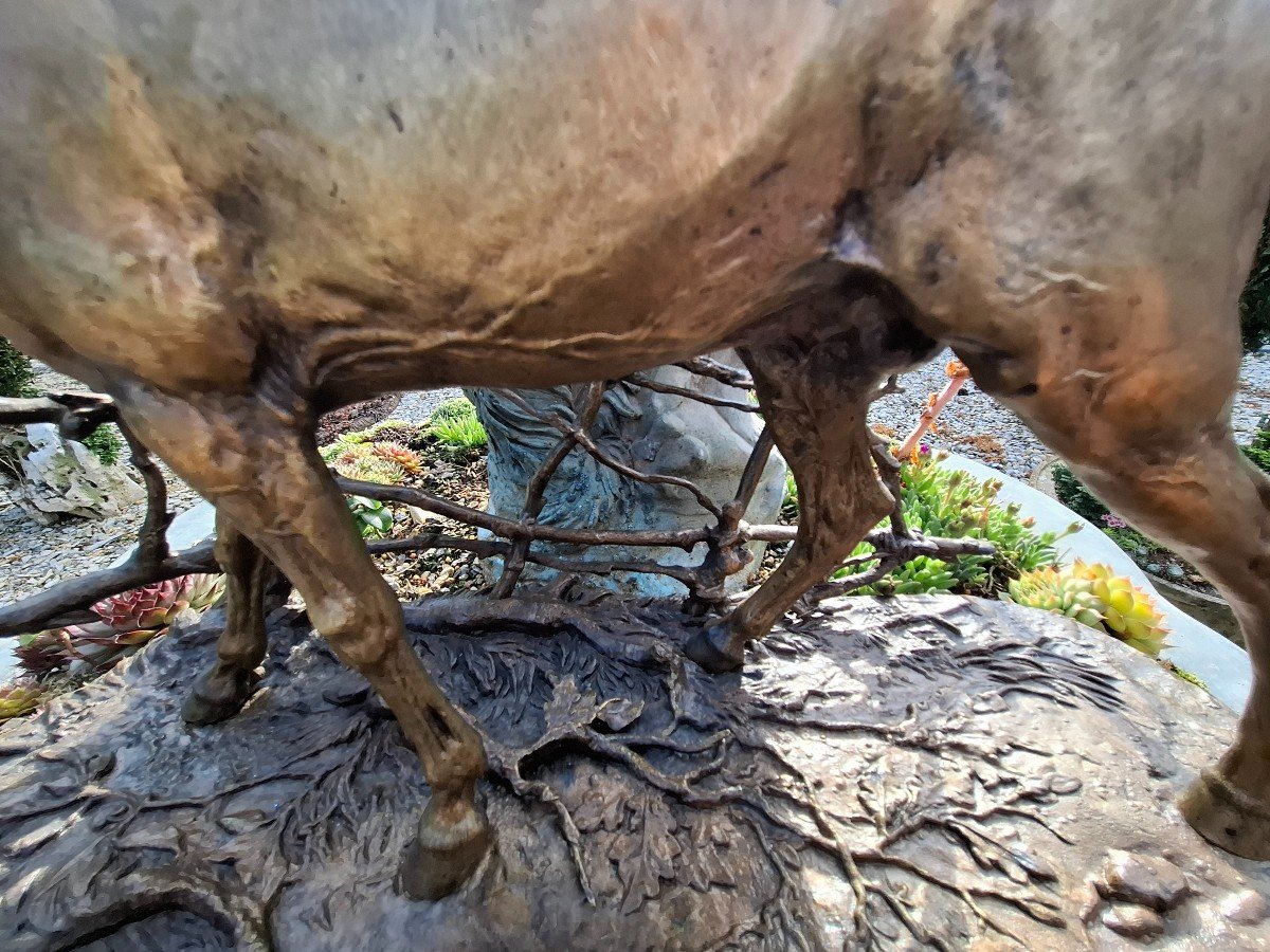 Bronze Horse P..j. Mene-photo-3