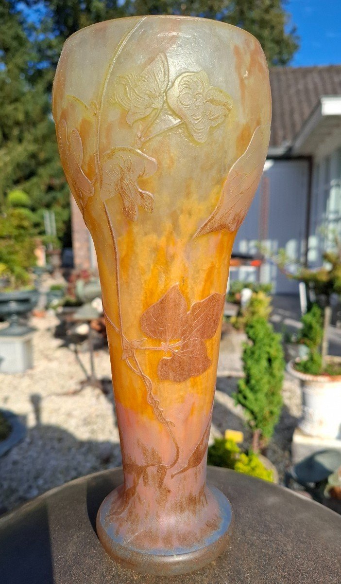 Vase Daum Lathyrus