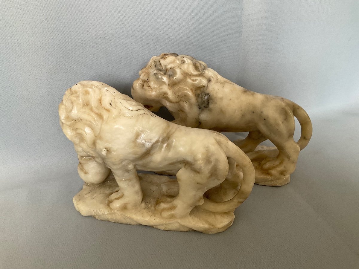 Medici Lions In Alabaster 19th Century Monoxide -photo-3