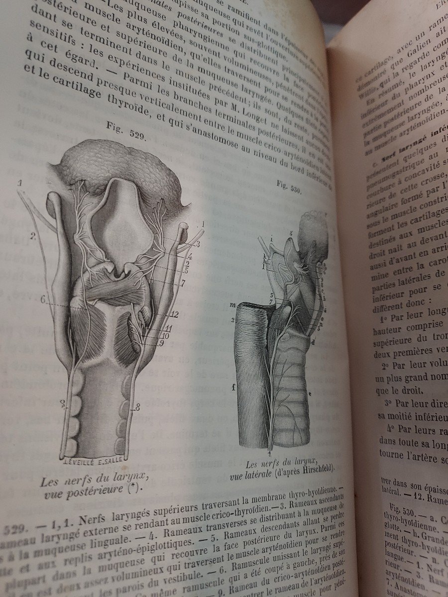 Medicine Book Descriptive Anatomy Treaty Sappey In 4 Volumes-photo-3