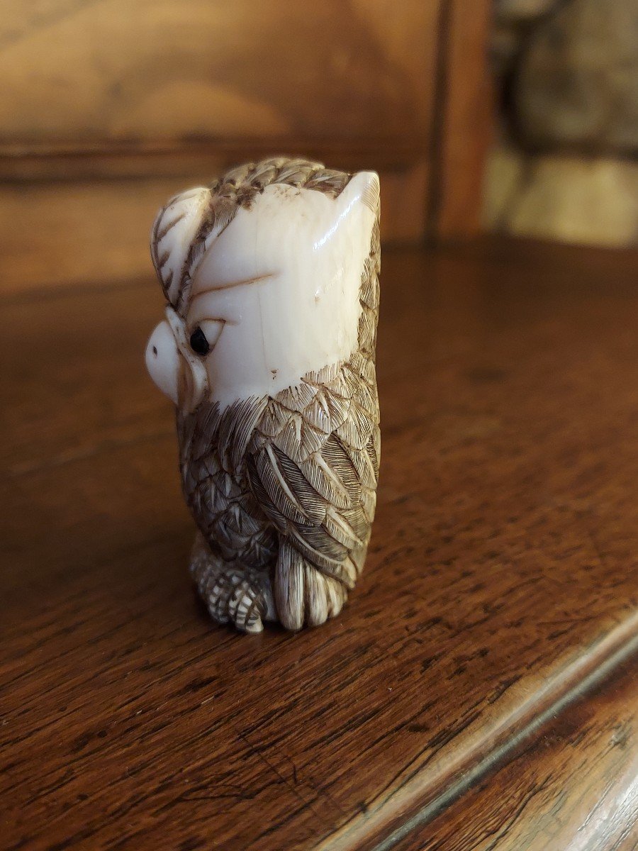 Ivory Netsuke 19th Century Owl Signed -photo-3