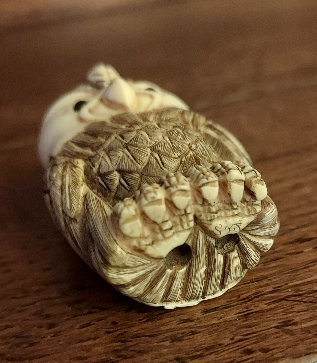 Ivory Netsuke 19th Century Owl Signed -photo-4