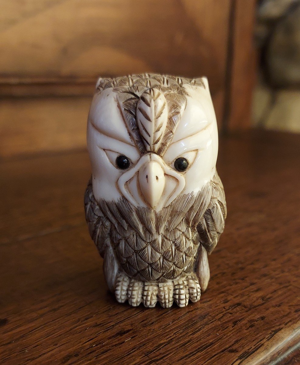 Ivory Netsuke 19th Century Owl Signed 