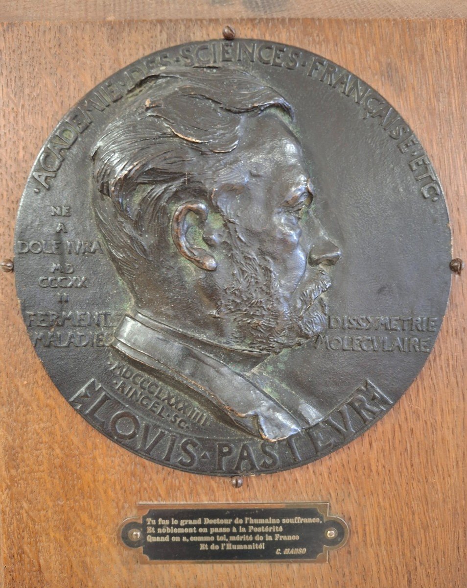 Bronze Medal Portrait Of Louis Pasteur By Ringel d'Illzach 