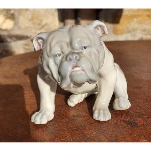 English Bulldog In German Porcelain By Gebrüder Heubach