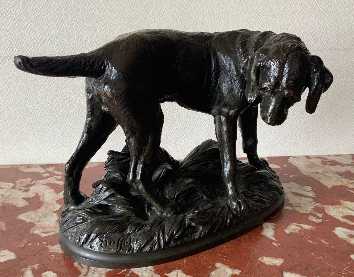 Bronze Truffot Korthal Griffon Dog Standing -photo-7