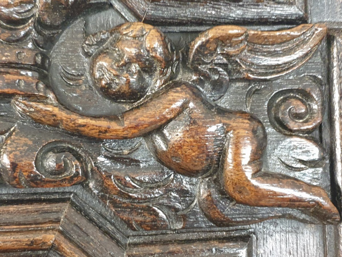 17th Century Flanders Apple Panel -photo-1