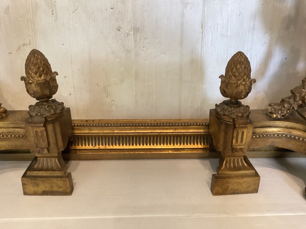 Louis XVI Gilt Bronze Andirons -photo-4