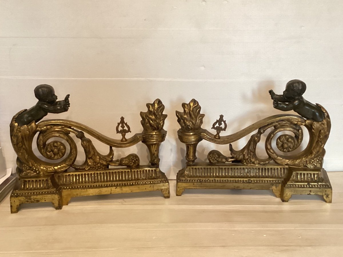 Pair Of Louis XVI Andirons 