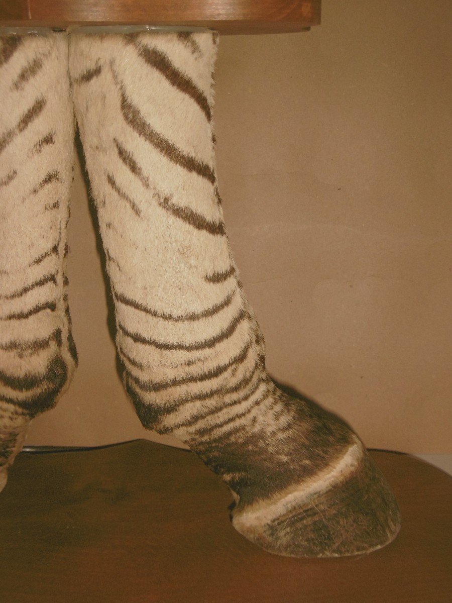 "zebra Feet" Lamp-photo-3