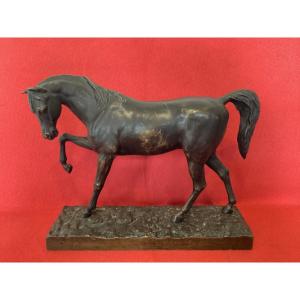 Bronze Signed "the Arabian Stallion"