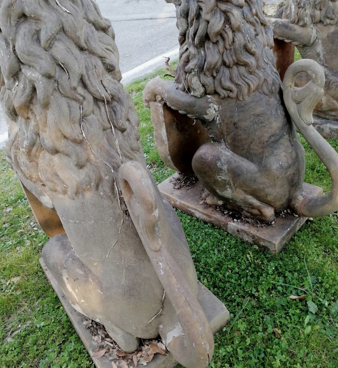 Pair Of Lions Early 20th Century-photo-4