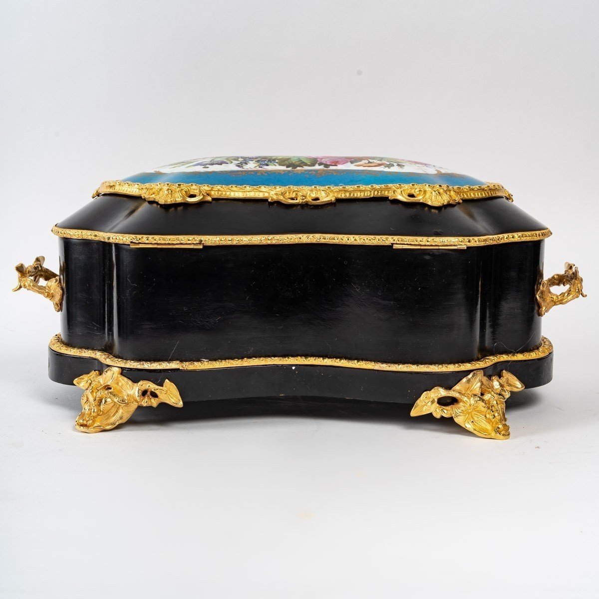 Magnificent Ebony Box, 19th Century Antique-photo-1