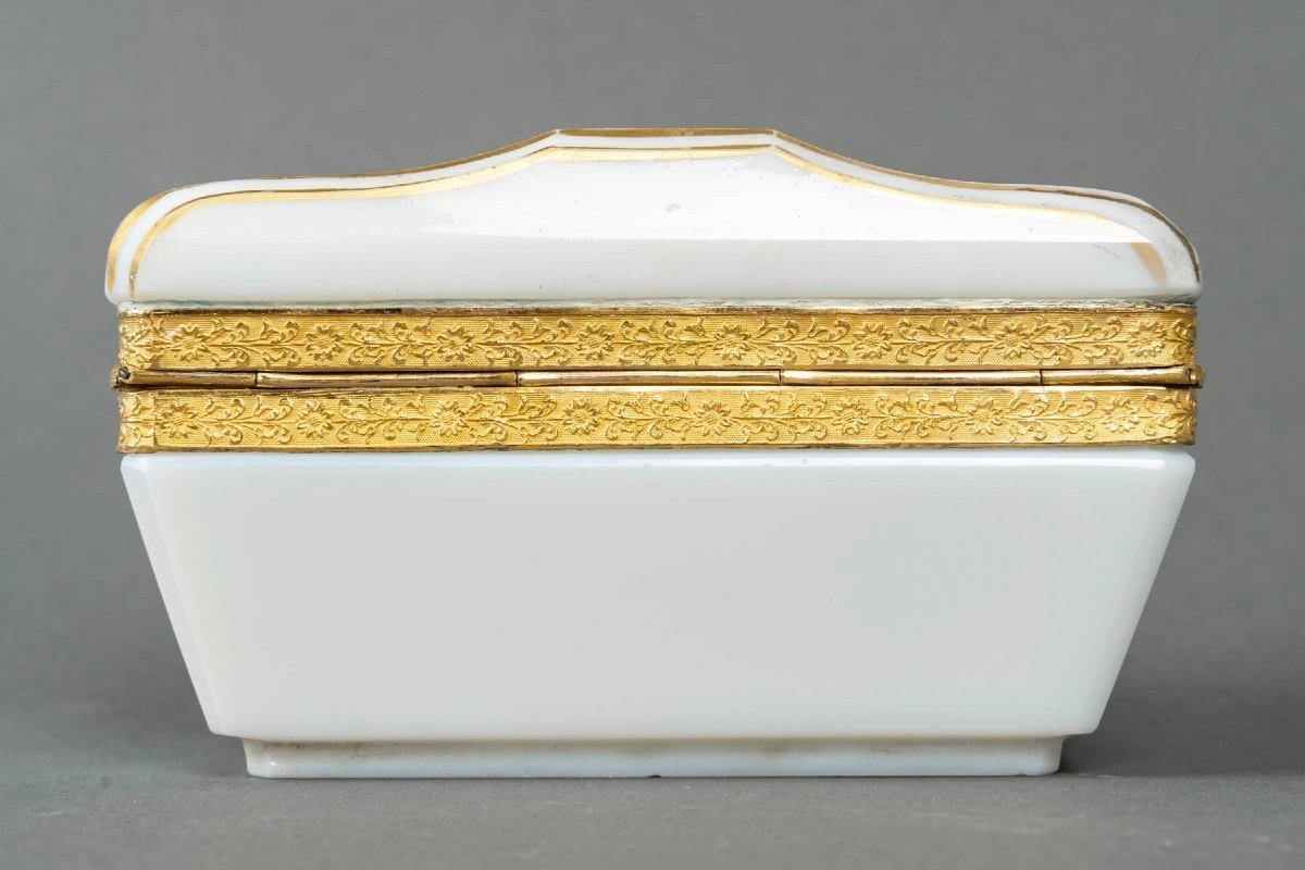 Gold Enamelled Opaline Box, Desvignes Design, Charles X Period-photo-6