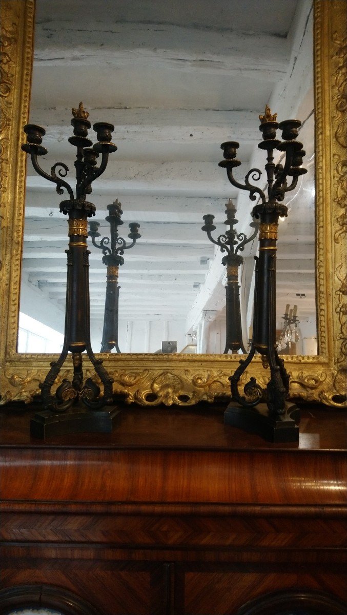 Pair Of 4-light Bronze Candelabra With 2 Patinas, 19th Century 