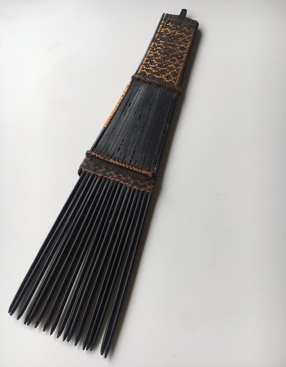 Comb From The Solomon Islands  